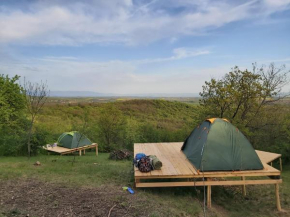 Kamp Ami